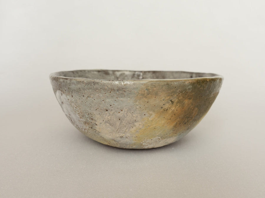 bowl - lichen