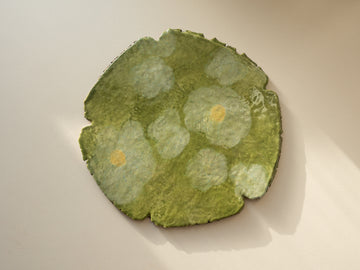 plate - 16cm - misty morning